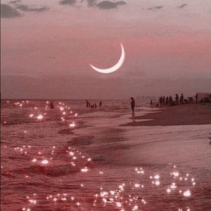 Meet your Posher, Pili